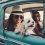 How To Take Your Pet On A Roadtrip