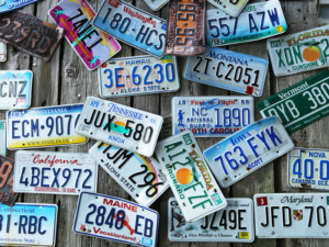 License Plate License Plate
